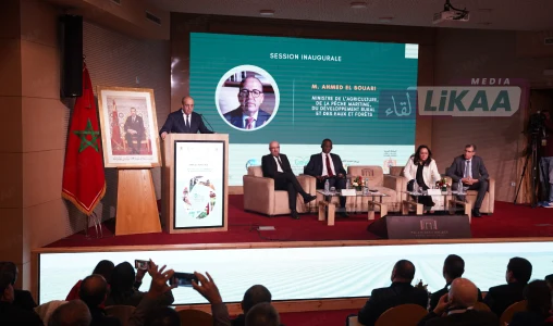 البواري يدعو إلى مقاربة شمولية لربط الموارد بالاستثمار وإحداث فرص شغل مستدامة في الفلاحة