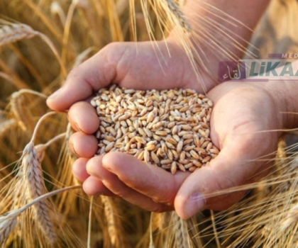 سيدي سليمان: انطلاق الشطر الأول من توزيع الشعير والأعلاف المركبة لفائدة مربي الماشية المتضررين من الفيضانات