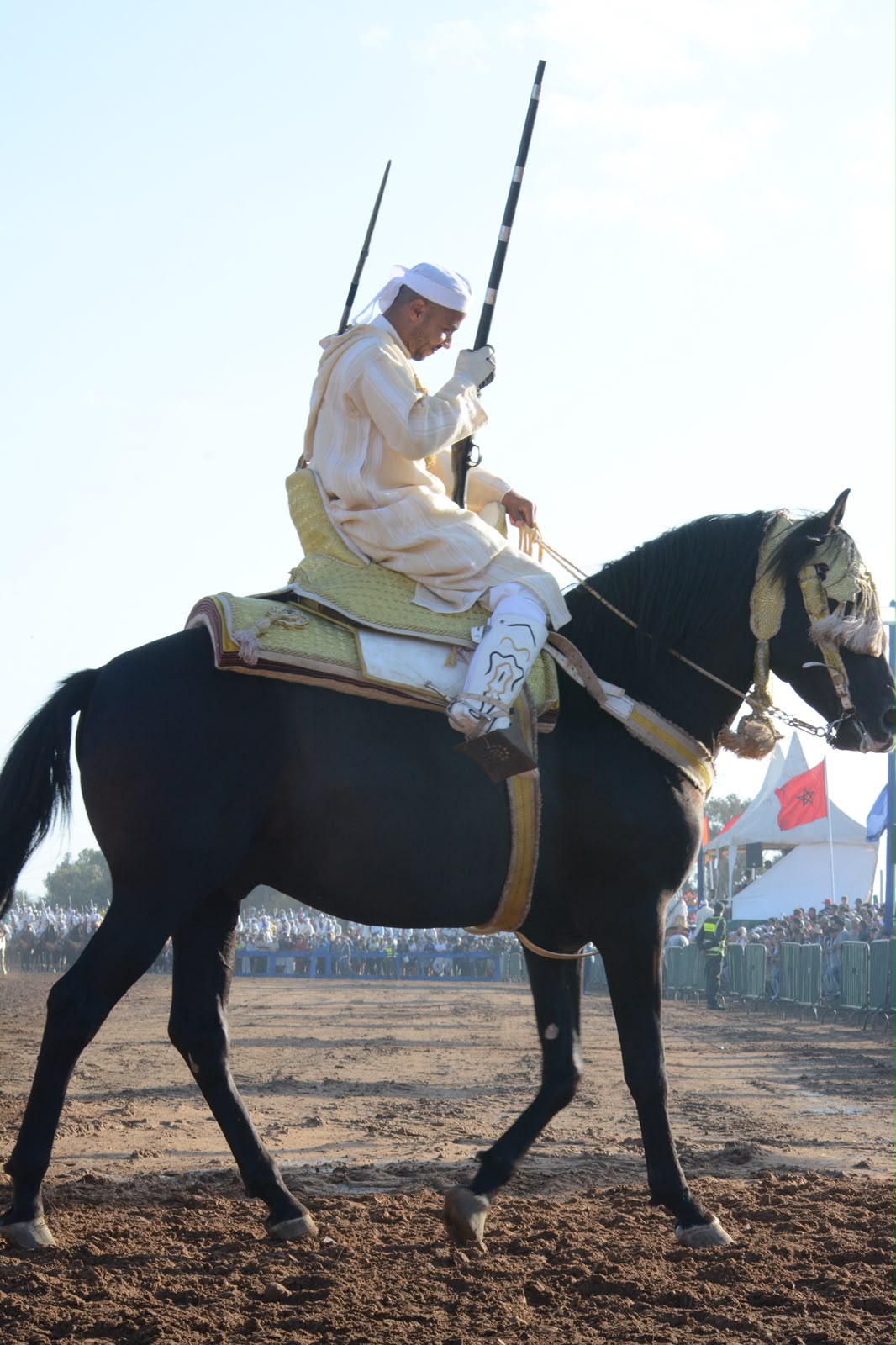 من عشق الخيل إلى قيادة السربة.. قصة رضوان المجذوب