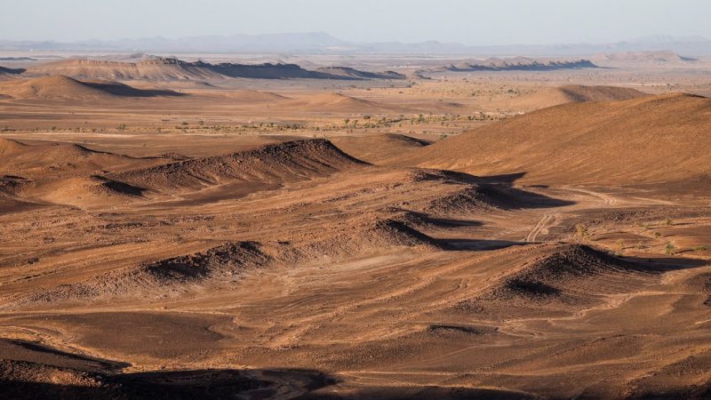 رالي  OLA Energy المغرب 2026.. تنافس بين 272 مركبة و كبار نجوم العالم في صحراء المملكة المغربية